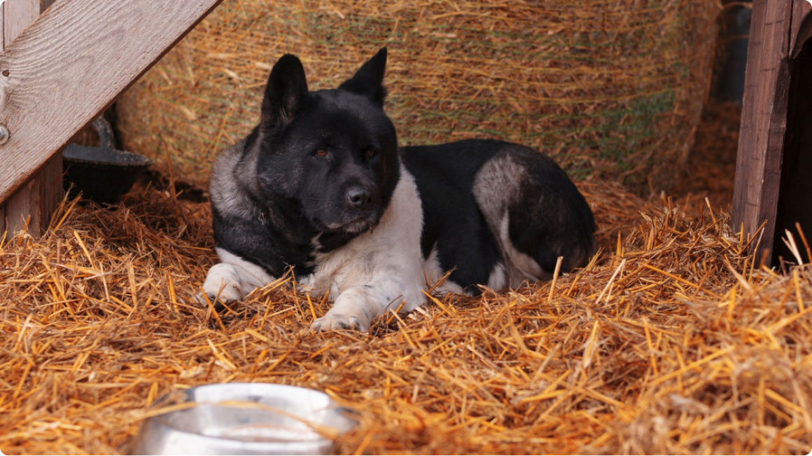 The Surprisingly Complicated Truth