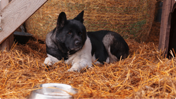 The Surprisingly Complicated Truth