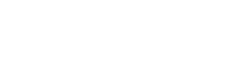 Biosil Solutions